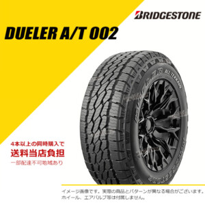 PSR81300