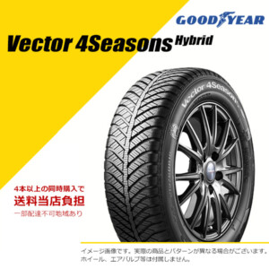 GY05509552